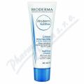 Bioderma Atoderm Nutritive 40ml