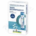 Boiron Thuya Occidentalis CH9 granule 3x4g