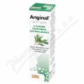 Anginal stn sprej s TTO 30ml