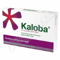 Kaloba 20mg 21 potahovanch tablet