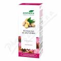 AROMATICA Echinacea se zzvorem bylin.kapky 50ml