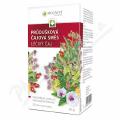 Megafyt Prdukov ajov sms por.spc.20x1.5g