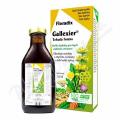 Salus Floradix Gallexier 250ml