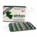 ginkgo COMFORT 60mg SR tbl. obd. 60